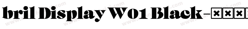 bril Display W01 Black字体转换